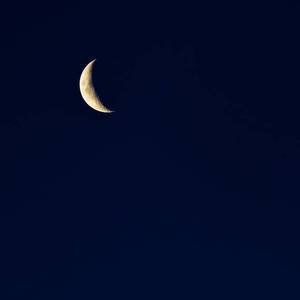 植物大战僵尸黄色本子在线观看
