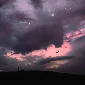 植物大战僵尸黄色本子在线观看
